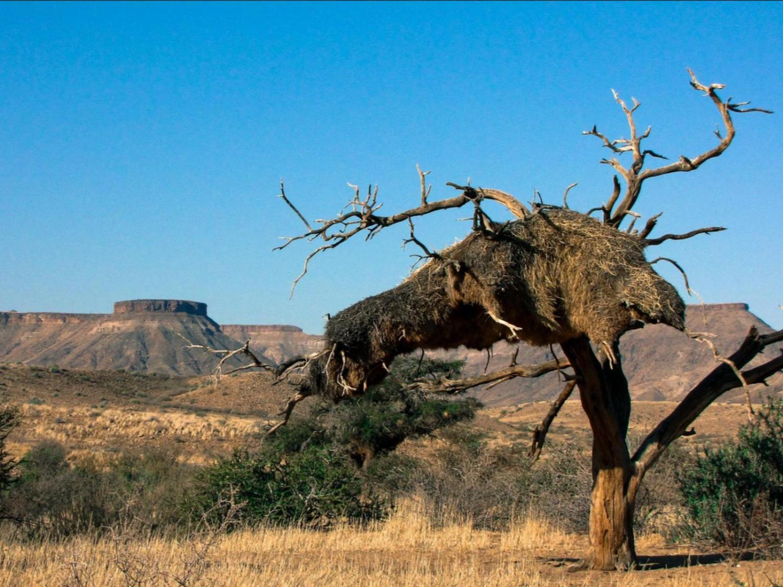 Mount Canyon Guest Farm Keetmanshoop Exterior foto